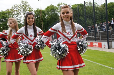 fc-ehrensache