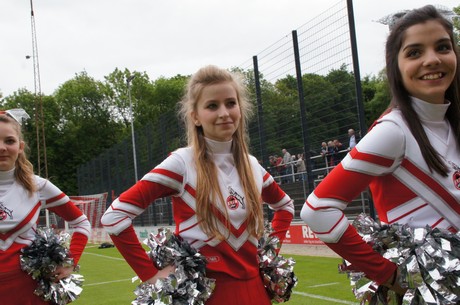 fc-ehrensache