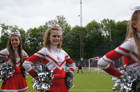 fc-ehrensache