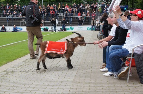 fc-ehrensache