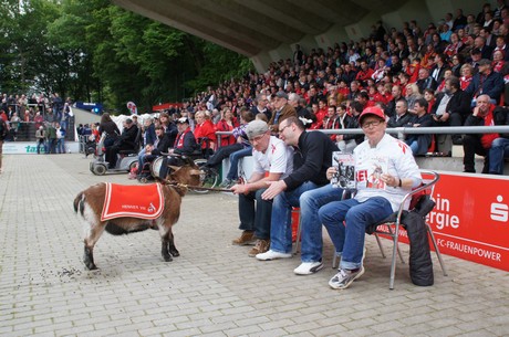 fc-ehrensache