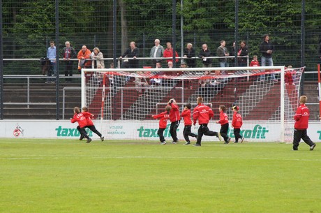 fc-ehrensache