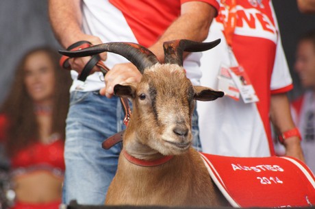 fc-koeln