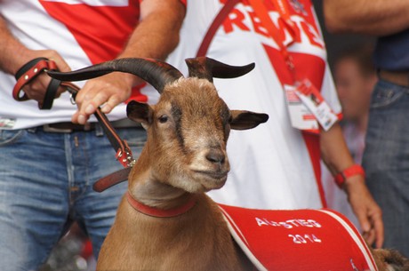 fc-koeln