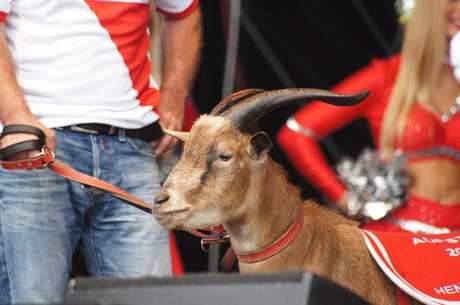 fc-koeln
