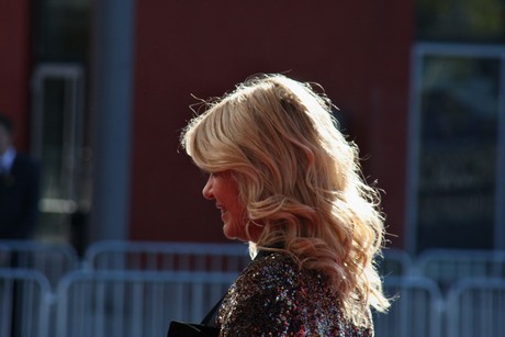 fernsehpreis