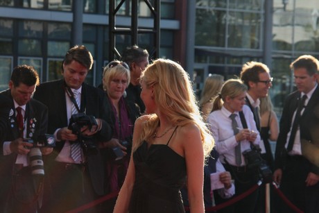fernsehpreis