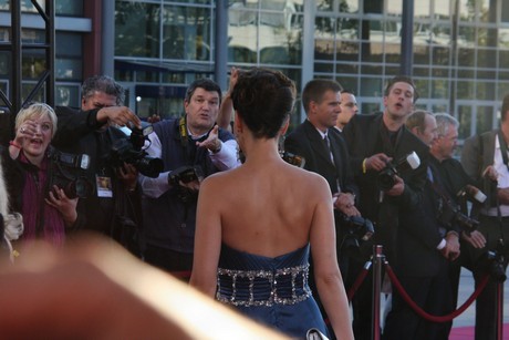 fernsehpreis