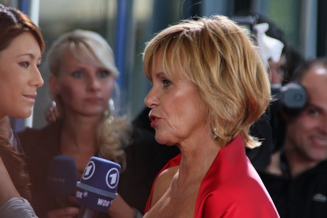 fernsehpreis