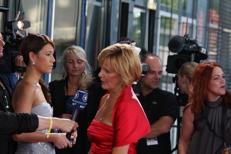 fernsehpreis