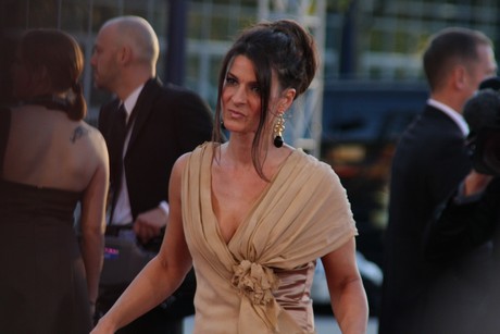 fernsehpreis