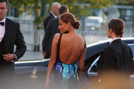 fernsehpreis