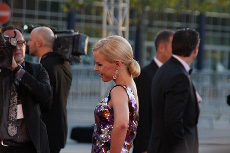 fernsehpreis