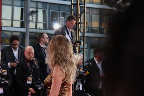 fernsehpreis