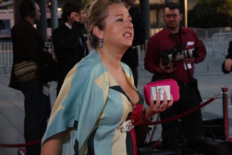 fernsehpreis