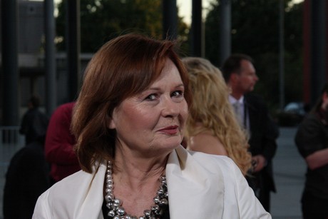 fernsehpreis