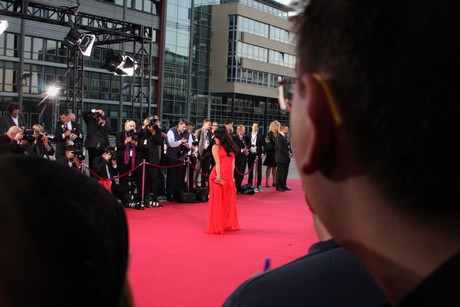fernsehpreis