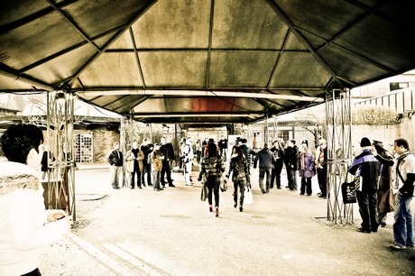 festival-of-fame
