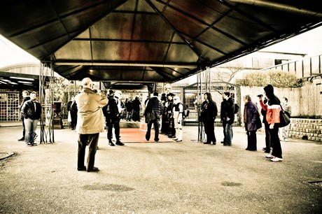 festival-of-fame