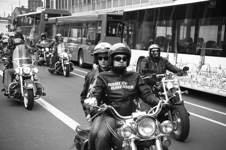 harley-dome-cologne