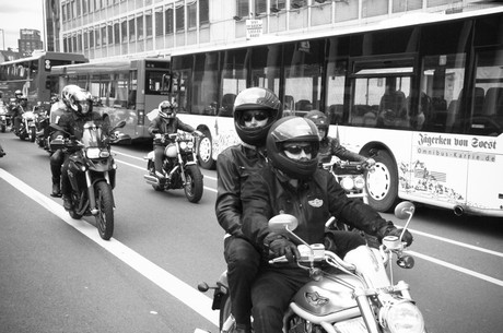harley-dome-cologne