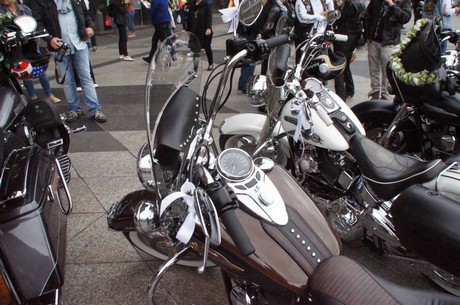 harley-dome-cologne
