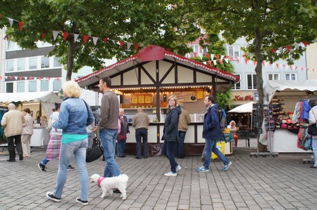 Altstadtfest