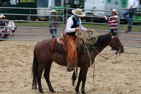 rodeo
