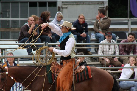 rodeo