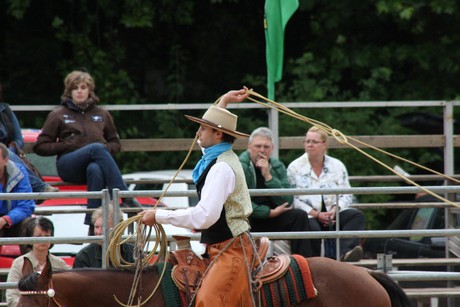 rodeo