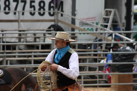rodeo