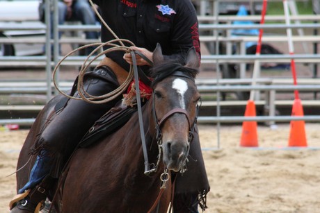 rodeo