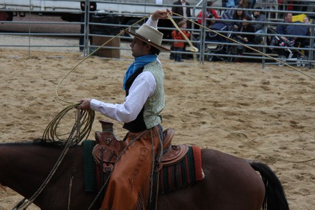 rodeo