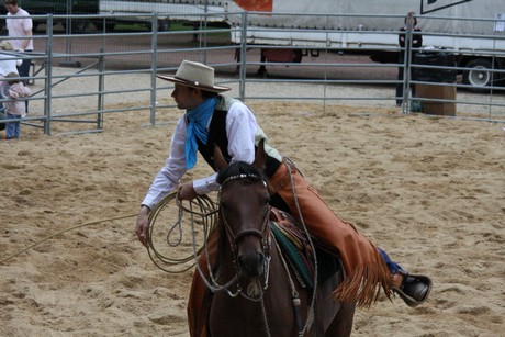 rodeo