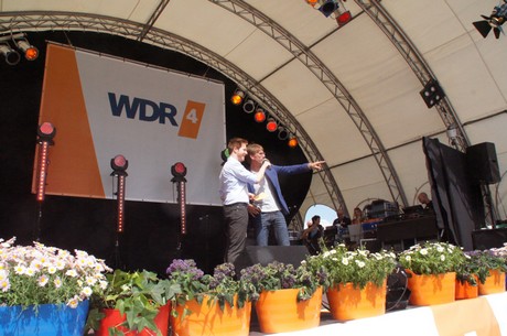 wdr4