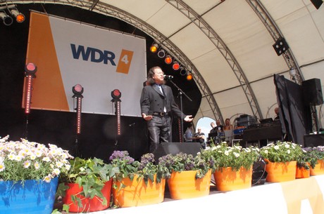 wdr4