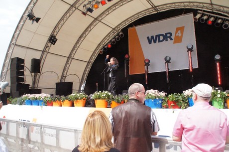 wdr4