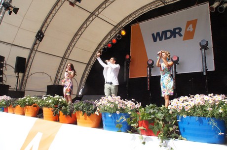 wdr4