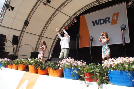 wdr4