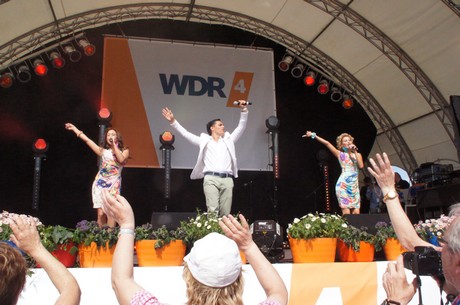 wdr4