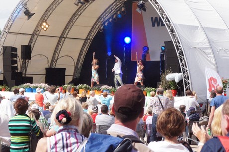 wdr4