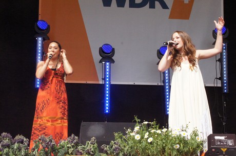 wdr4