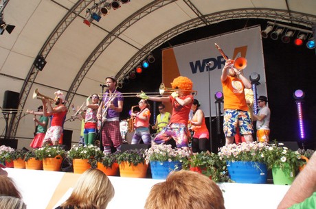 wdr4