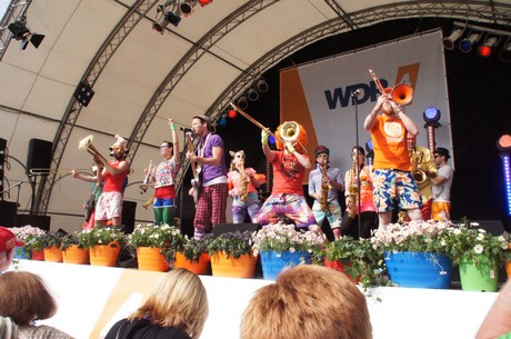 wdr4