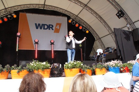 wdr4