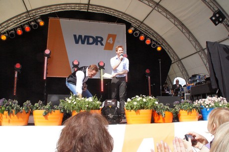 wdr4