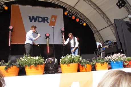 wdr4