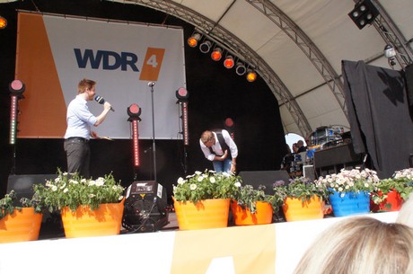 wdr4