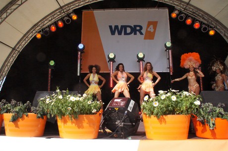 wdr4