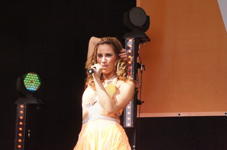 wdr4